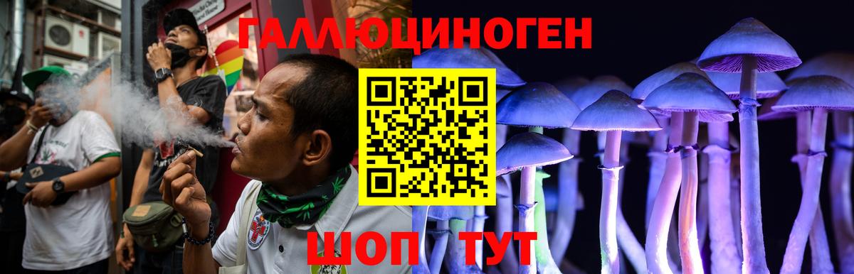Воткинск  Псилоцибиновые грибы Psilocybine cubensis  Вход с VPN 